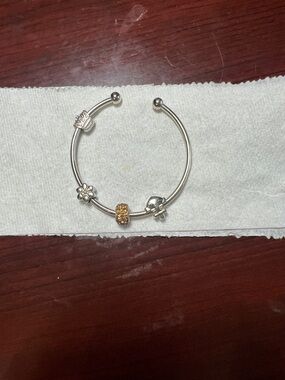 Steel Charm Bangle Bracelet with Gold Accent